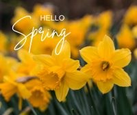 Hello Spring – Greetings from our DP!